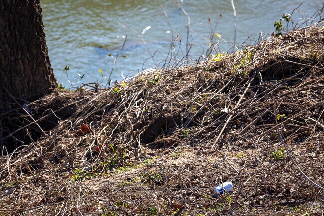 A beer can left on the side of the Chattahoochee River raises concerns about littering.
