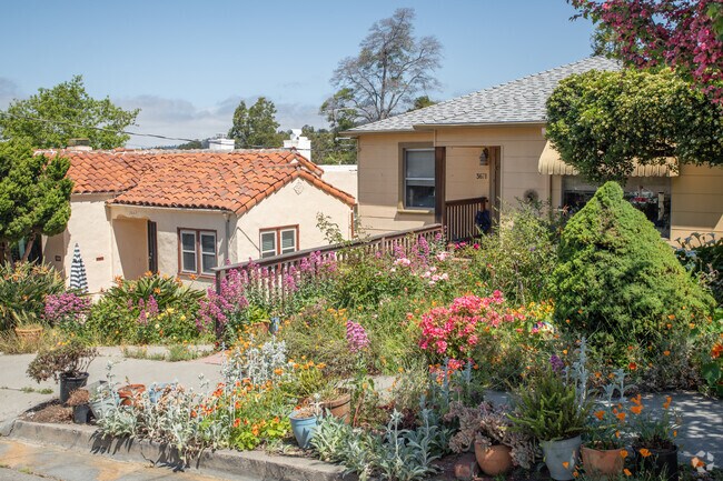 When strolling through Millsmont you will see homes with lush gardens full of native plants.