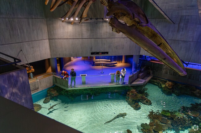 The National Aquarium has over 20,000 aquatic animals from more than 700 species.