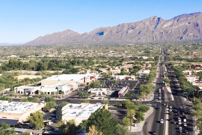Creekside is bordered by Swan Road to the east with a view of Mount Kimball to the north.