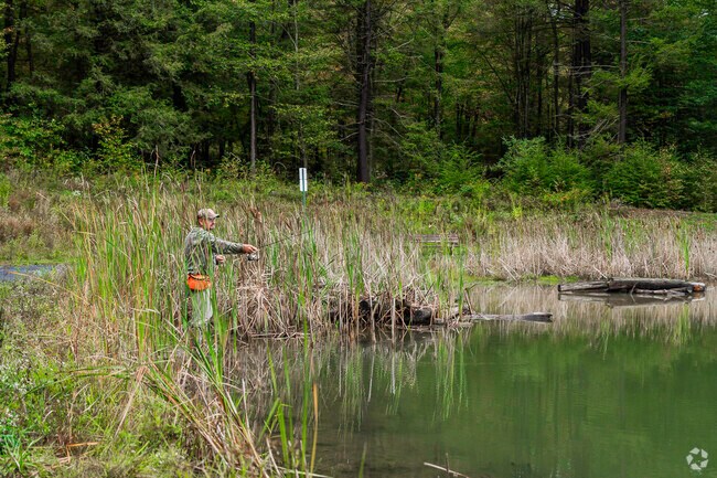 Fishing at Lorine Park is a top activity among Jackson locals.