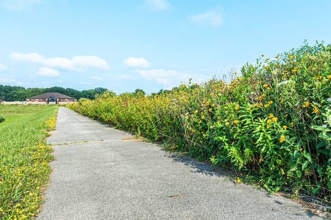 The Little Calumet River Prairie and Wetlands is home to more than 200 plant species.