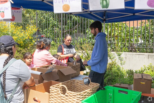 Fresh vegetables are popular at the La Familia Verde Highbridge Farmers Market in The Bronx.
