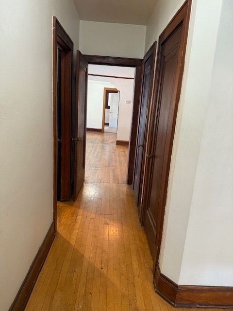 1203 E Brady St unit A, Milwaukee, WI 53202 - photo 5