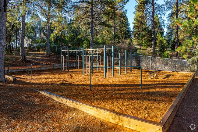 Students love to swing on the monkey bars at Colfax Elementary School.