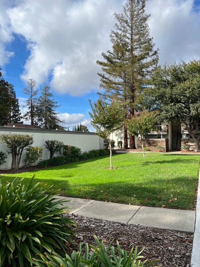 4081 Clayton Rd, Concord, CA 94521 - photo 3