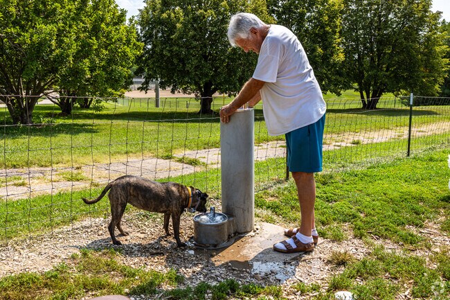The dog park at Cico Park is perfect on hot days and has water available for everyone.