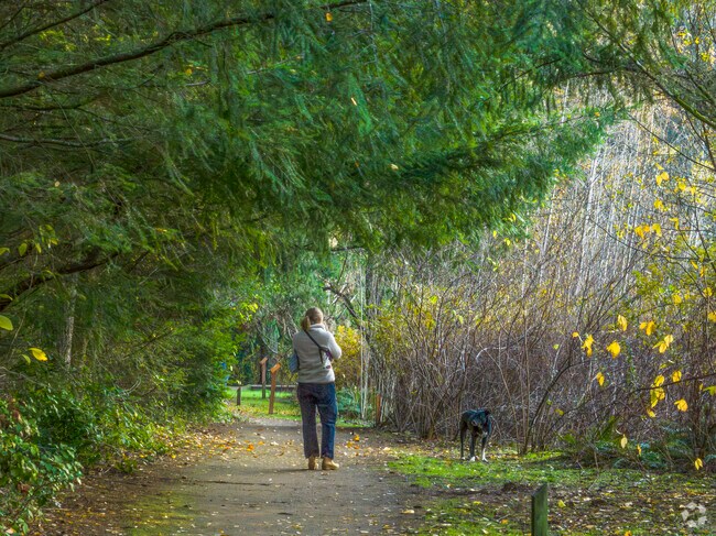 Walking your pup is a normal site to see in Thelma Gilmur Park.