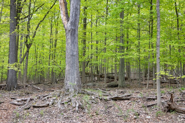 The West Essex Trail is 3 miles long and runs between the Essex–Passaic county line in Cedar Grove.