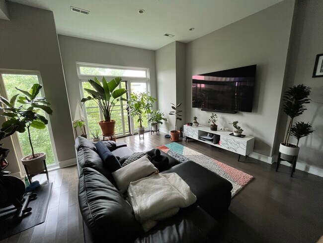 9 foot ceilings and west facing windows create great natural lighting