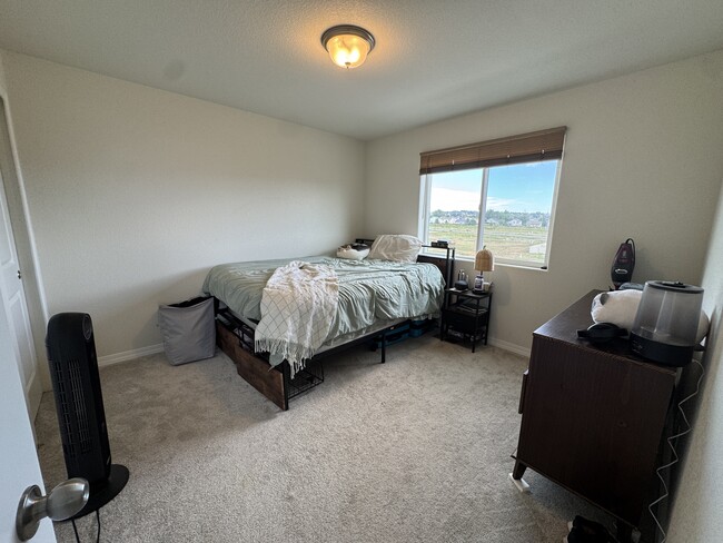 11270 Feliz Way, Fountain, CO 80817 - photo 7