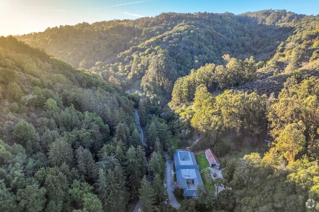 Reinhardt Redwood Regional Park is a popular hiking spot for Dimond District residents.