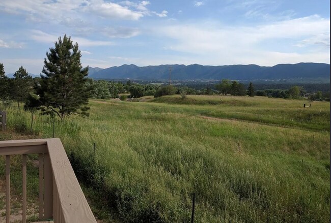 806 Century Ln, Monument, CO 80132 - photo 3