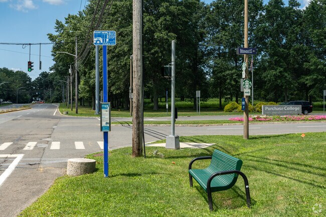 Bus stops near Purchase College make the commute to class easy for students in Purchase.