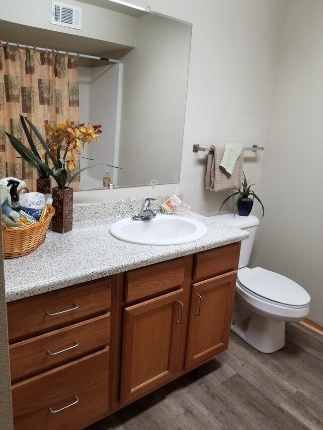 Large Hall Bathroom