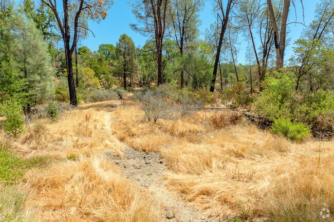 Unpaved trails and hiking opportunities are within walking distance of Boulder Creek homes.