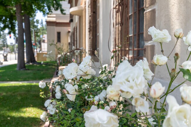 White roses line the walls of Transfiguration Elementary School in Los Angeles, CA.