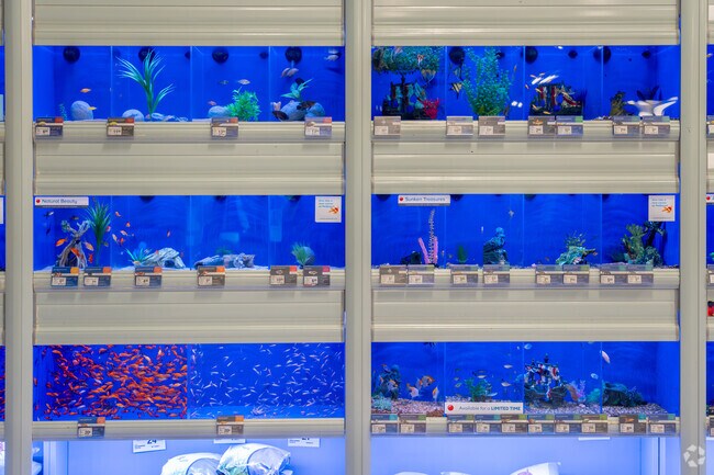 Come visit the local Petsmart's animals at the Quarry Shopping Mall.