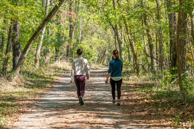 Experience the beauty of Willow Oaks as you walk the scenic trail at Wetlands Park.