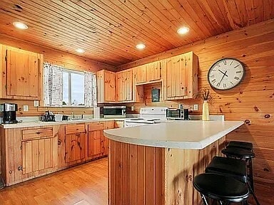 179 County Road 383, Dora, MO 65637 - photo 4