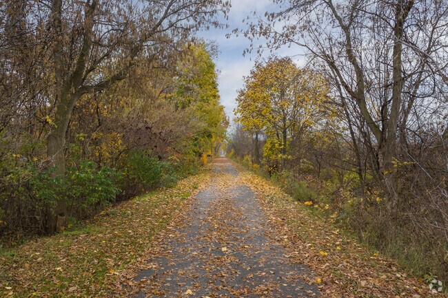 Crossing right through the area is the 92 mile long White Pine Trail.
