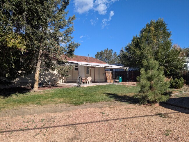 Large Backyard
