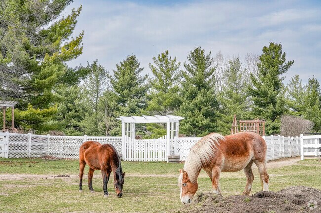 Equine lovers will fall in love with Wayne and the beautiful surroundings.