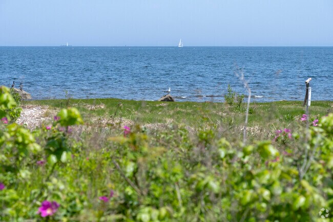Greenwich Point Park is the place to watch sailboats, birds, and smell the flowers on the beach.