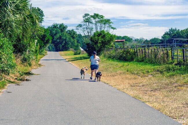 A Geneva resident walks her dogs on the quiet streets with lush landscapes.