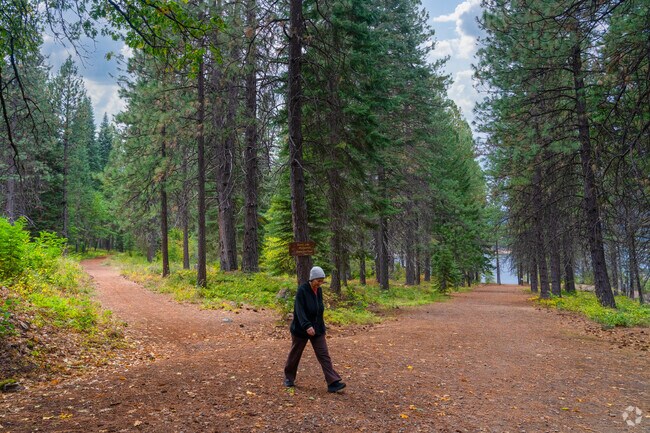 Hikers and outdoor enthusiasts are drawn to the dozens of hiking trails around Mount Shasta.
