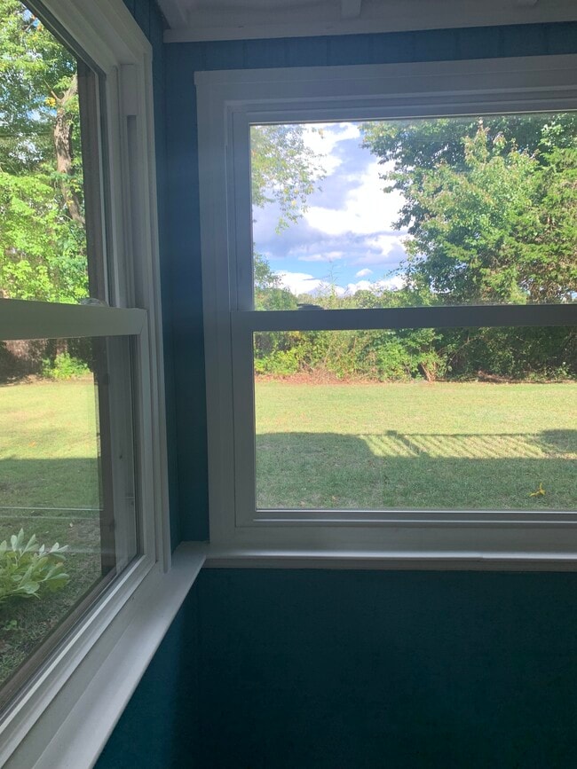 Enclosed porch & back yard