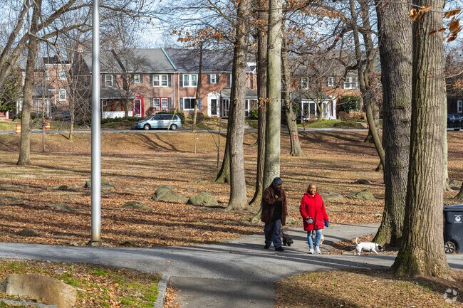 Haynes Park, south of Brandywine Hills, is a frequent spot for dog walks.