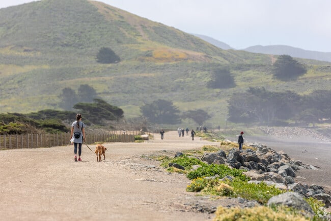 Seaside adventures await below Pacific Heights at the popular beaches.