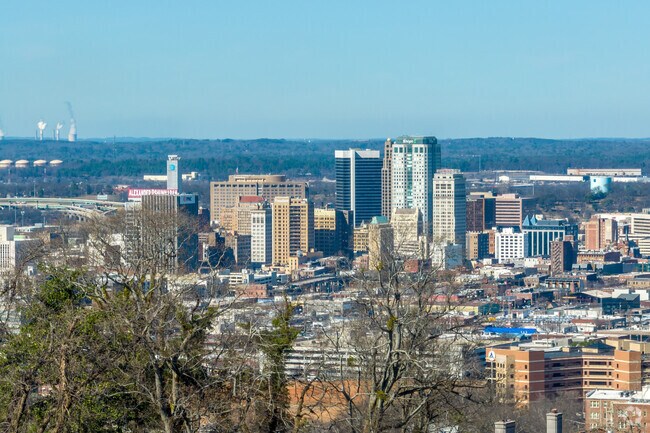 Redmont Park's view of downtown Birmingham.