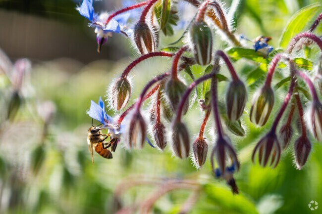 Experience the essence of nature in the City of Coral Springs, FL.