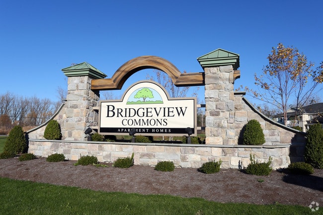 Bridgeview Commons, West Seneca, NY 14224 - photo 2