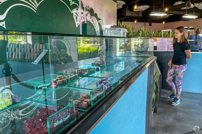 North Dodge residents are treated to chocolate works of art at Monsoon Chocolate Cafe.