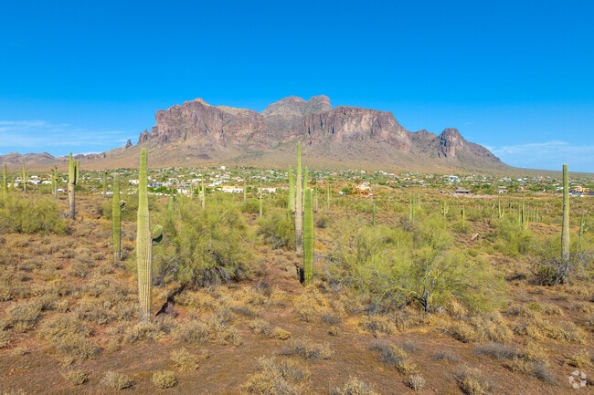 Discover the hidden gems and attractions that make Superstition Vistas truly special.