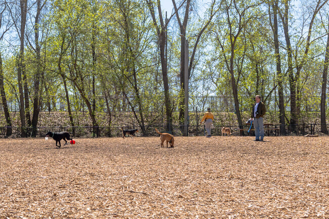 Minneapolis dogs love to visit the Lake of the Isle Dog Park for some outdoor fun.