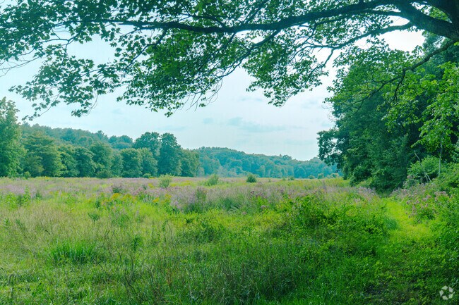 Large acres of beautiful sceneries are one of many features of Warren-Pohl Conservation.