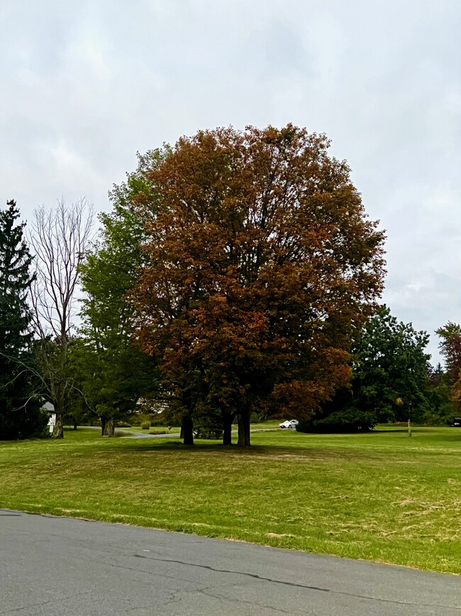 1049 Danby Rd, Ithaca, NY 14850