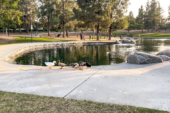 A duck pond brings fauna to Red Hill Community Park of Rancho Cucamonga.