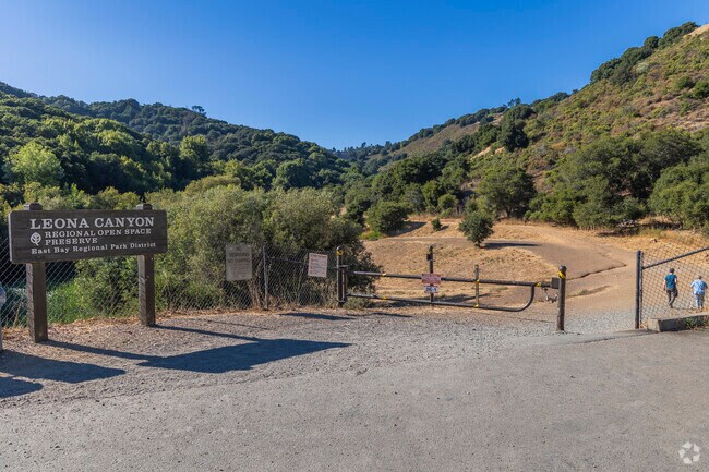 Leona Canyon in Caballo Hills is a hidden gem.