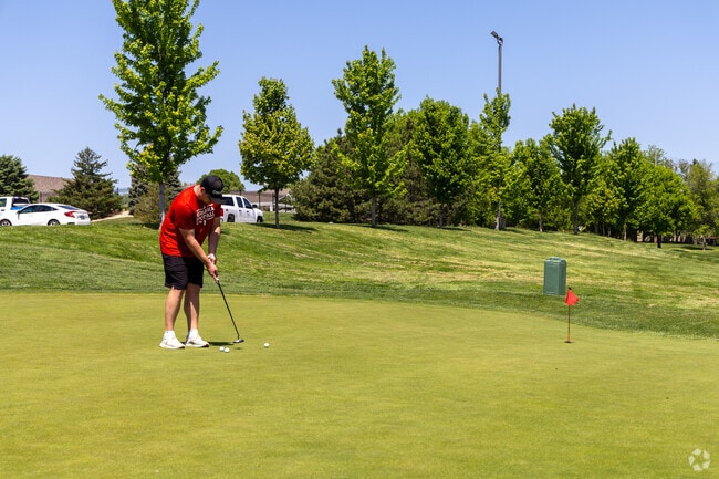 At Tiburon Golf Club you can work on your short game in Tiburon.