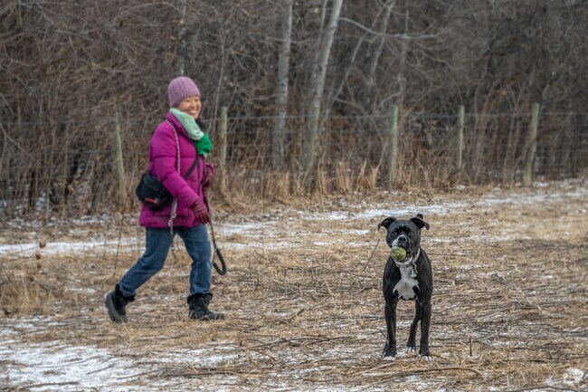 Make some time for fetch at High Bridge Dog Park.
