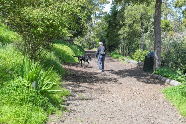 The wide trail in Grove Park is a hidden gem in Crocker Highlands.
