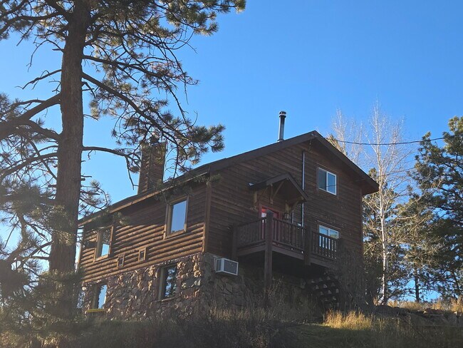 11 Sun Way, Bailey, CO 80421 - photo 2