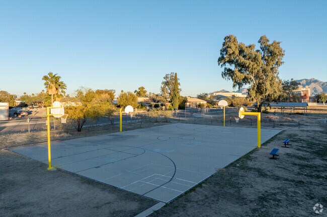 Most students go on to a 2 or 4 year university from Sky Islands Public High School.
