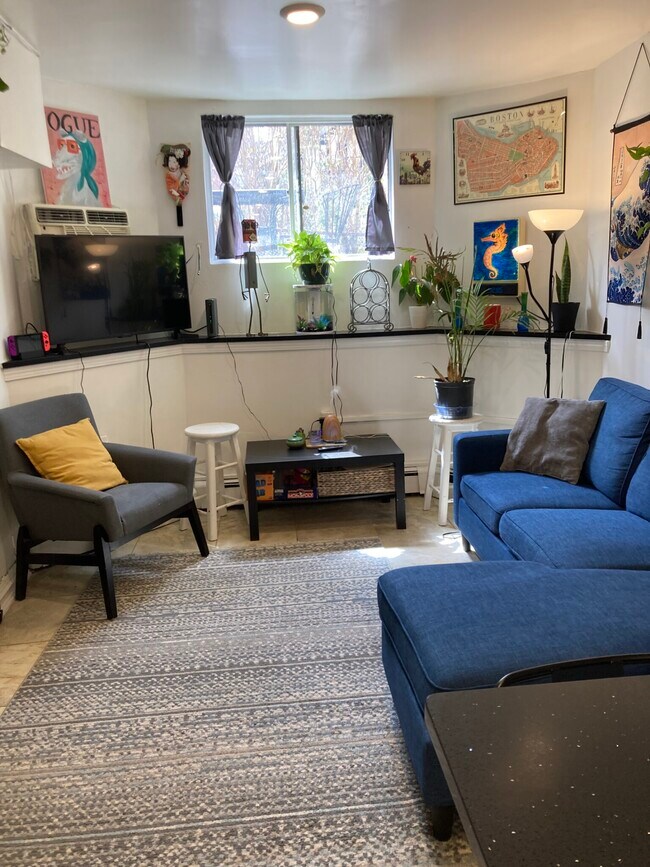 133 Chiswick Rd, Brighton, MA 02135 - photo 7