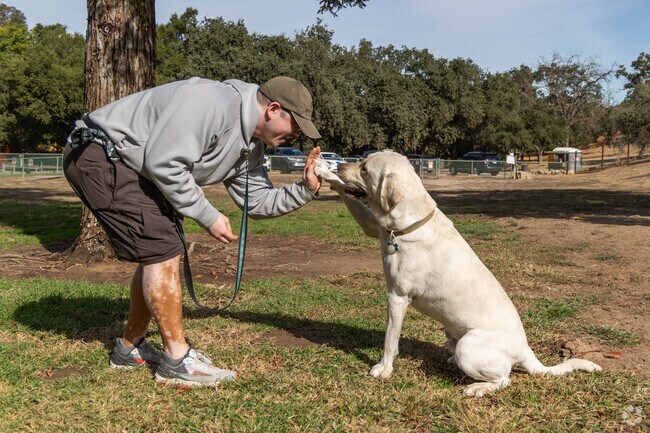 College Park is full of dogs and their happy owners.